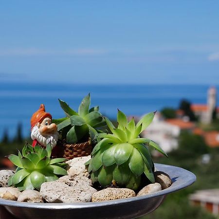 Apartments Mateljak Gradac  Eksteriør billede
